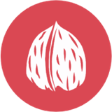 Frutos de cáscara