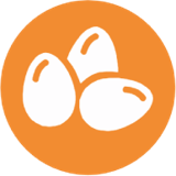 Huevos